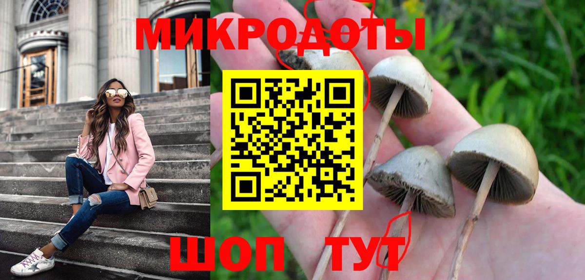 Заволжье  Псилоцибиновые грибы прущие грибы  Вход с VPN 